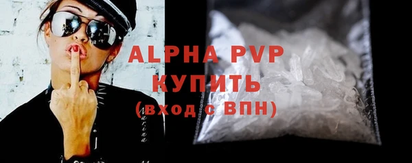стаф Алексин