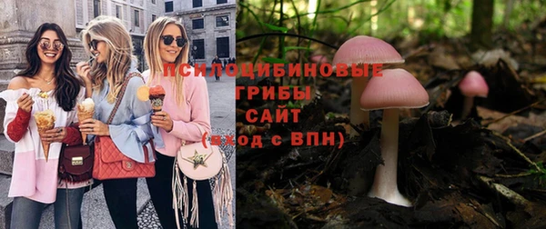 стаф Алексин