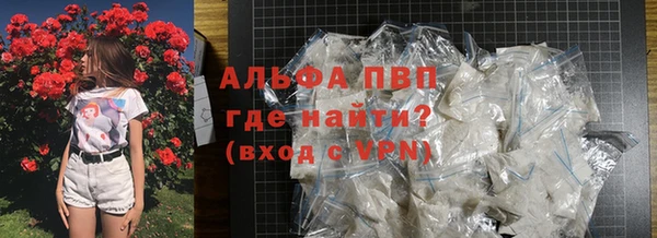 стаф Алексин