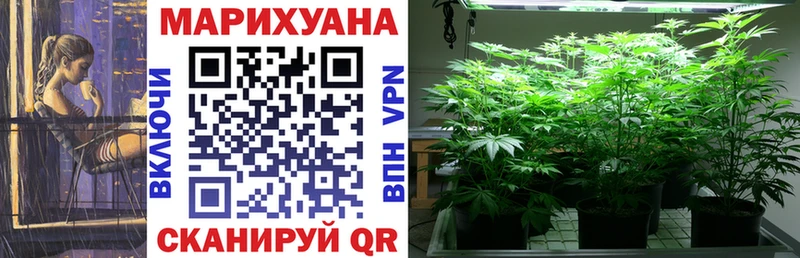 продажа наркотиков Полевской Бошки Шишки Amnesia